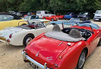 New Forest Day Out & Picnic