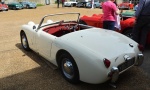DSC_8167a.jpg