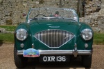 DSC_8172a.jpg