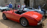 DSC_8178a.jpg