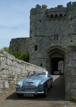 DSC_8193a.jpg