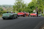 DSC_8246a.jpg